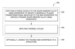 SYSTEMS FOR SHAPE MEMORY ALLOY STRUCTURES