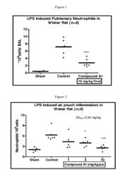 SELECTIVE DUAL INHIBITORS OF PI3 DELTA AND GAMMA PROTEIN KINASES