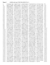 GLYCOPROTEIN HORMONE RECEPTOR MUTATIONS