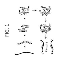 Nucleic acid sequence assembly