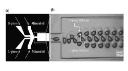 Microdroplet or microparticle with Janus or core-shell internal morphology fabricated from N-isopropylacrylamide