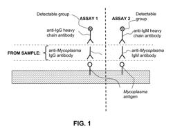 METHODS AND COMPOSITIONS FOR DETECTING MYCOPLASMA EXPOSURE