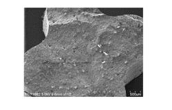 Fiber reinforced zeolite extrudates with enhanced physical properties