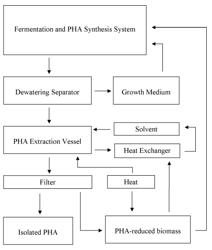 Polyhydroxyalkanoate production methods and materials and microorganisms used in same