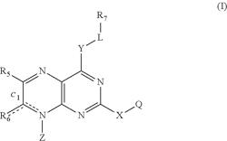 NOVEL IMMUNE SYSTEM MODULATORS