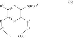 Ataxia Telengiectasia And Rad3-Related (ATR) Protein Kinase Inhibitors