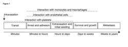 PREVENTION OF TUMOUR METASTASIS BY INHIBITION OF NECROPTOSIS