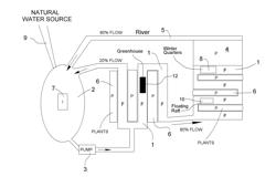 Sustainable Aquaponic System and Method for Growing Useful Plants and for Treating Gray Water