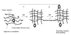 Method for reducing the amount of migrateables of polymer coatings