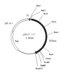 Process for producing a particulate composition comprising crystalline trehalose dihydrate