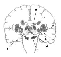 Identification method based on connectivity profiles