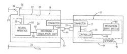 Osseointegrated Neural Interface And Method