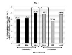 ADAPTOGENIC COMPOSITIONS AND APPLICATIONS THEREOF