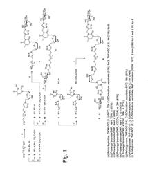 Bola-amphiphilic compounds and their uses for biomedical applications