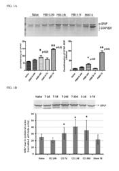 MICRO-RNA, AUTOANTIBODY AND PROTEIN MARKERS FOR DIAGNOSIS OF NEURONAL INJURY