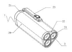 Portable fire extinguishing apparatus