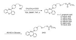 FATTY ACID CONJUGATES OF QUETIAPINE, PROCESS FOR MAKING AND USING THE SAME