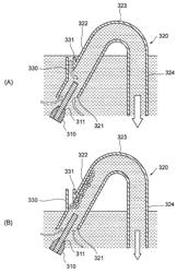 Flush toilet apparatus