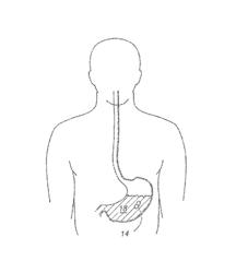 Masticable ingestible product and communication system therefor