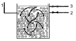 Method and reactor for biological purification of waste water