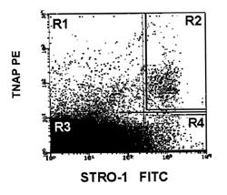 TREATMENT OF T-CELL MEDIATED IMMUNE DISORDERS