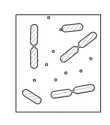 Programmable Assembly and Welding of Metallic Nanoparticles Into Discrete Nanostructures