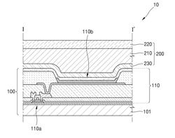 DISPLAY DEVICE