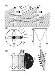 Branched nanowires and method of fabrication