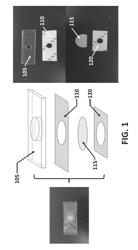 COLLECTION OF SUSPENDED CELLS USING A TRANSFERABLE MEMBRANE