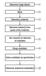 AUTOMATIC RECOGNITION OF ANATOMICAL LANDMARKS