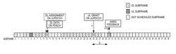 HARQ feedback reporting based on mirrored information