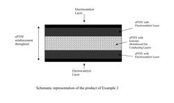 CATALYST LAYER ASSEMBLY