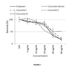 Curcumin-based compositions and methods of use thereof