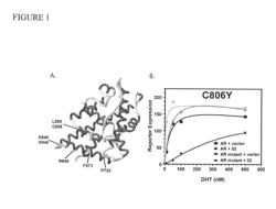 Pharmaceutical compositions which inhibit FKBP52-mediated regulation of androgen receptor function and methods of using same