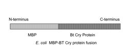 Methods and compositions to enhance activity of Cry endotoxins