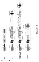 Gene therapy methods