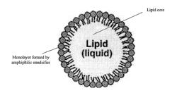 STABLE MICELLE AND/OR LIPOSOME COMPOSITIONS AND USES THEREOF