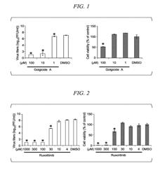 ANTI-INFLUENZA VIRUS AGENT AND SCREENING METHOD FOR ANTI-INFLUENZA VIRUS AGENT