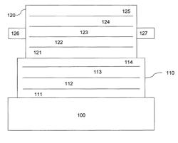 Electrochemical apparatus with barrier layer protected substrate