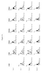 IDENTIFICATION AND ISOLATION OF MULTIPOTENT CELLS FROM NON-OSTEOCHONDRAL MESENCHYMAL TISSUE