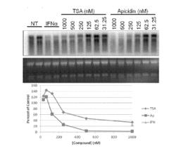 MODULATION OF HEPATITIS B VIRUS CCCDNA TRANSCRIPTION