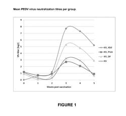 Vaccine for Use in Protecting Offspring of a Sow Against Porcine Endemic Diarrhea Virus