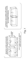 Spatial sequestration of dynamic nucleic acid circuits