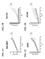 METHODS, SYSTEMS AND PRODUCTS FOR PREDICTING RESPONSE OF TUMOR CELLS TO A THERAPEUTIC AGENT AND TREATING A PATIENT ACCORDING TO THE PREDICTED RESPONSE