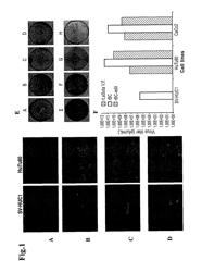 Genetically-engineered newcastle disease virus as an oncolytic agent, and methods of using same