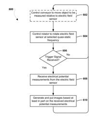 Ephemeral electric potential and electric field sensor