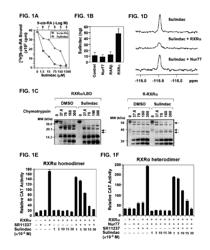 METHODS AND COMPOSITIONS RELATED TO RETINOID RECEPTOR-SELECTIVE PATHWAY