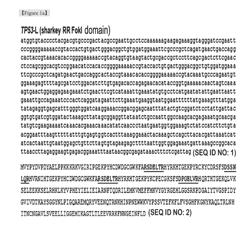 Method for concentrating cells that are genetically altered by nucleases