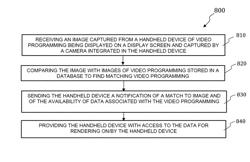 Methods and systems enabling access by portable wireless handheld devices to data associated with programming rendering on flat panel displays