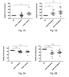 COLL2-1 PEPTIDE AND ITS NITRATED FORM AS THERAPEUTIC TARGETS FOR OSTEOARTHRITIS TREATMENT